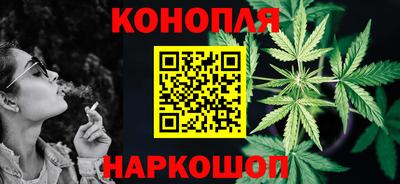 индика Лесосибирск