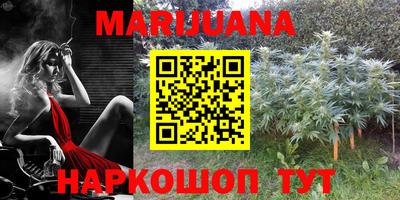 индика Лесосибирск