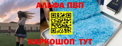 индика Лесосибирск